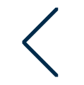back_icon